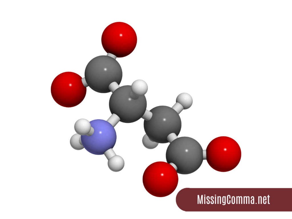 amino acid model